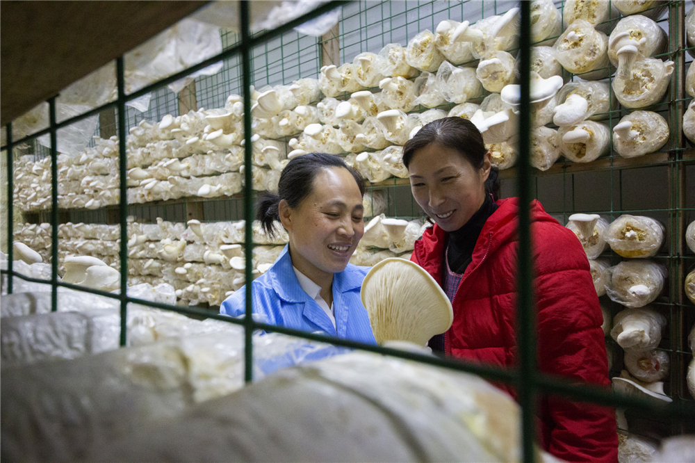 20205P܇g鿴ĢL