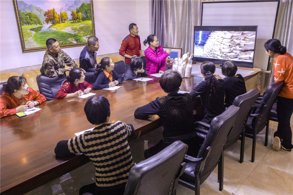 20205PekIrʳþIӖ