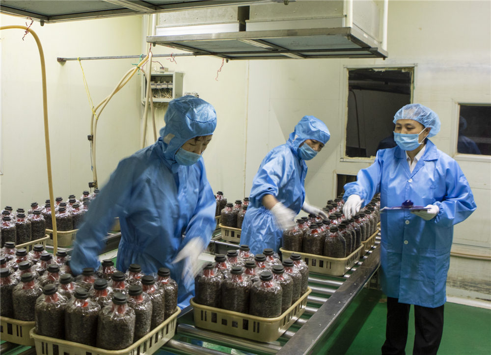 20205Pÿ춼Fָ˽ӷNQČH}