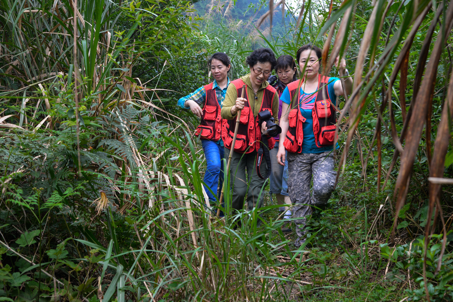 ŮzӰ҂ɽˮ(DƬɽʡDŮͯlչṩ)