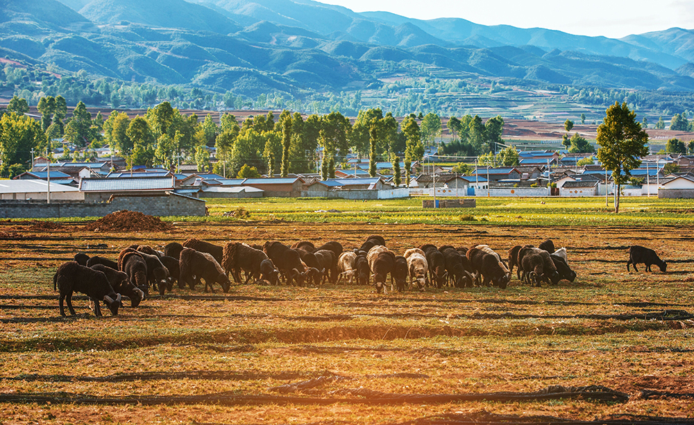 2020518Ͽhľйľ