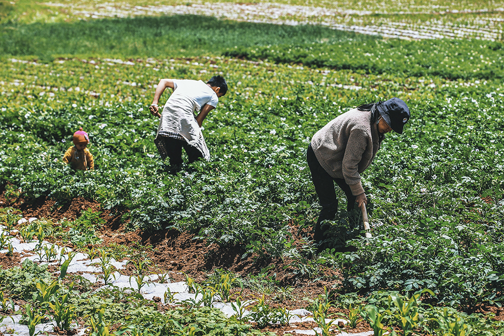 2020521һg^æµ