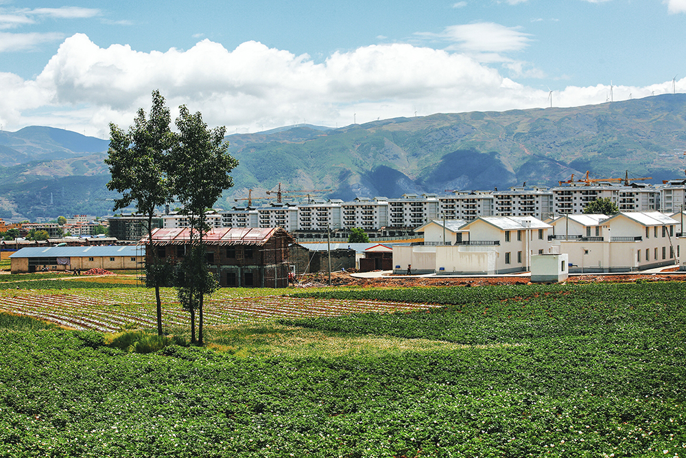 2020521h̎ľ悼õ·