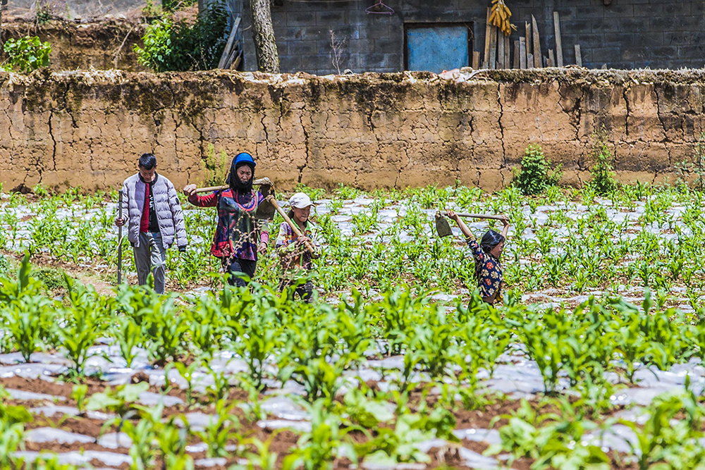 2020521ԼҵüҲ܇׵