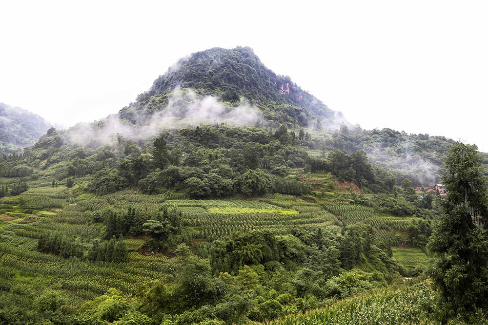 ؑcн^ɳ悏ͽڵɽ^