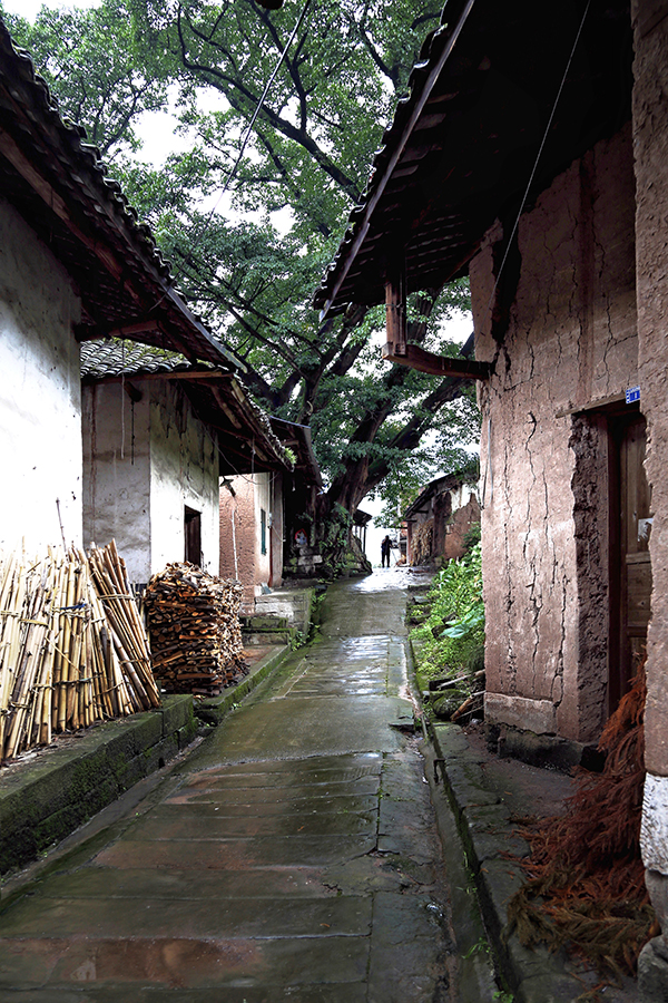 2020622ͽZϽ