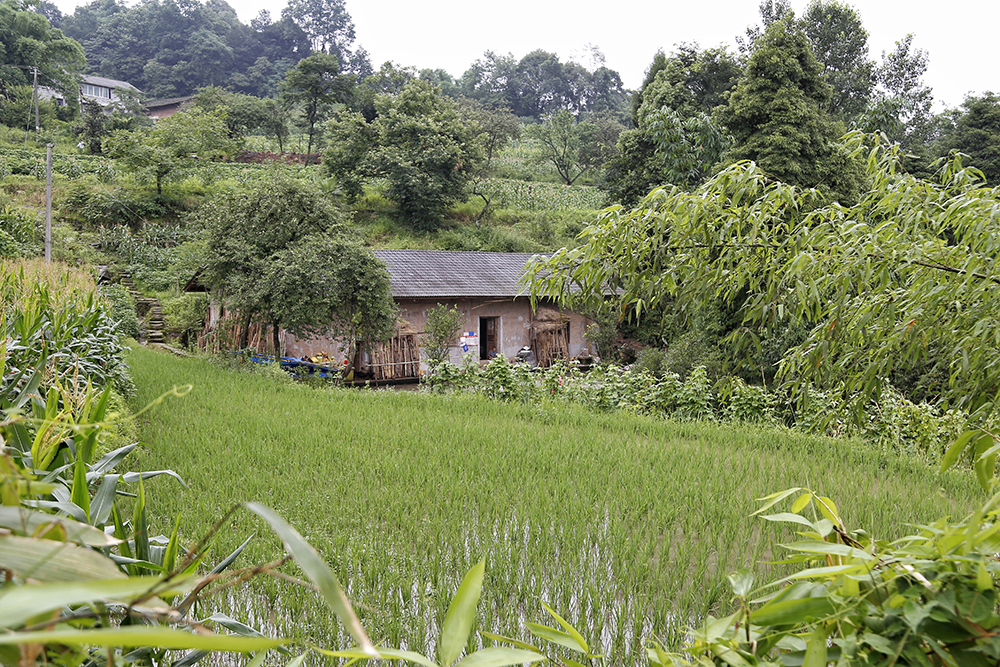 2020621ͽĴ