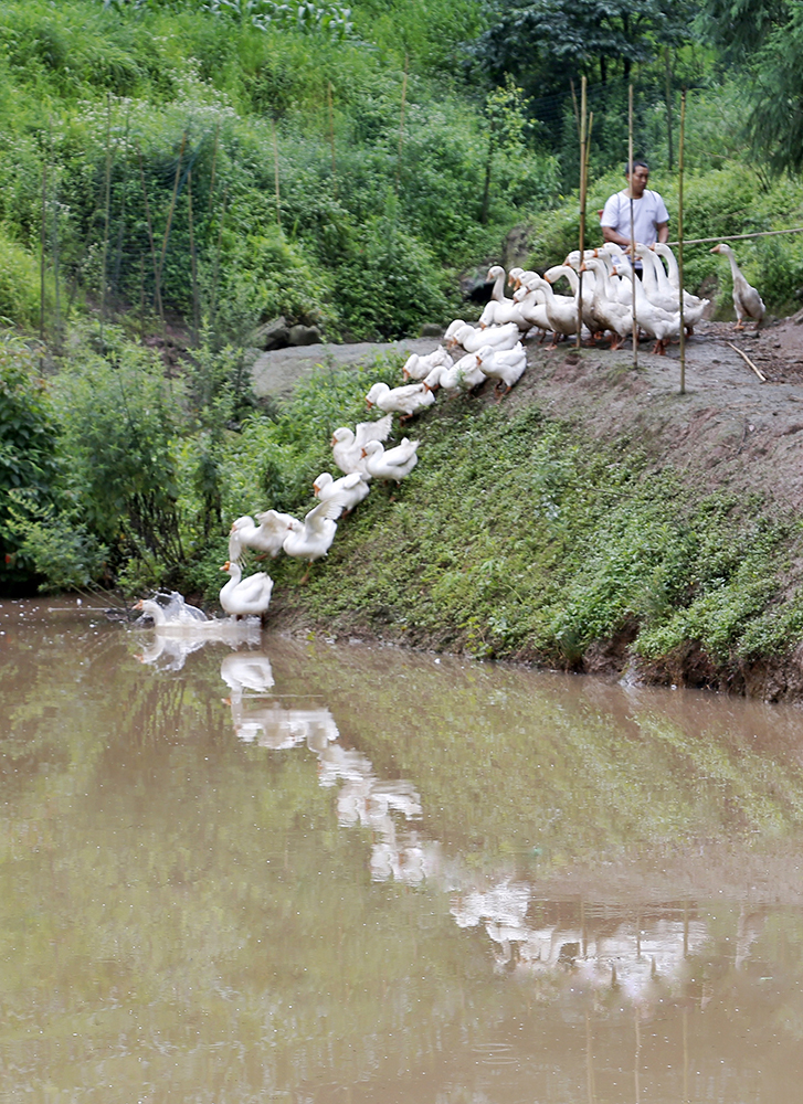 2020621쑪ABMṩZ