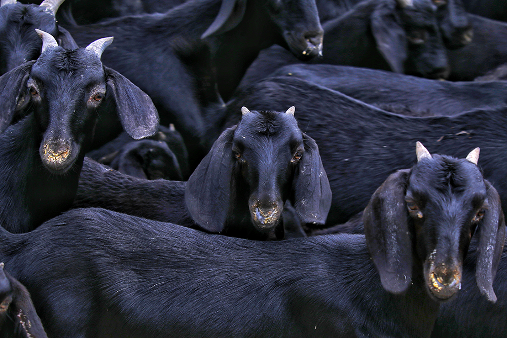 2020621YؚԇBĺɽ