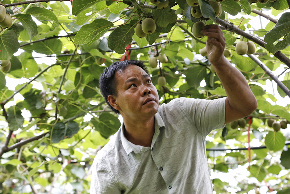 2020621ͽ¸^܊՘ļͥr鿴JҵLr