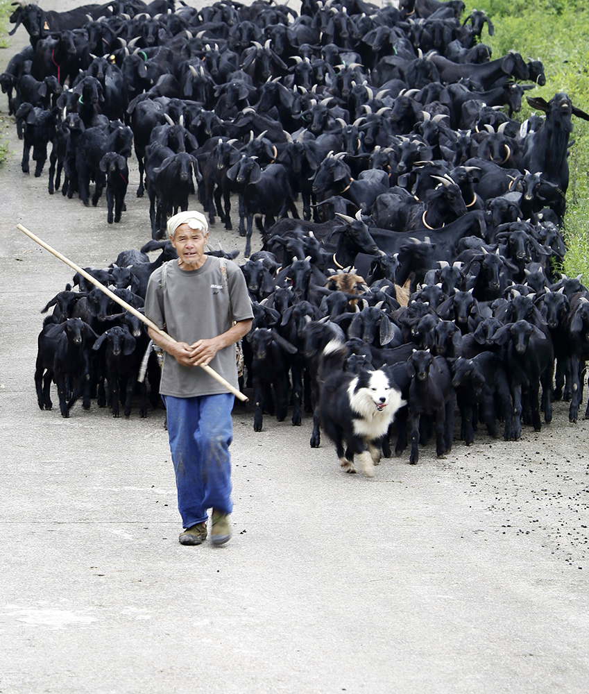 2020621ͽ¸^ȫcBֳĺɽ