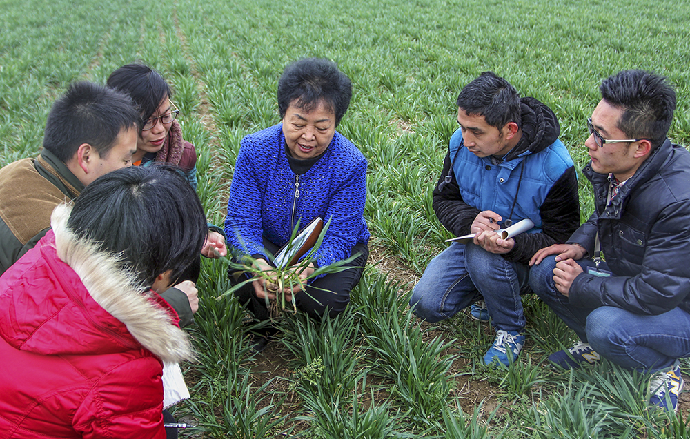 2015227ygp˂СNֲ