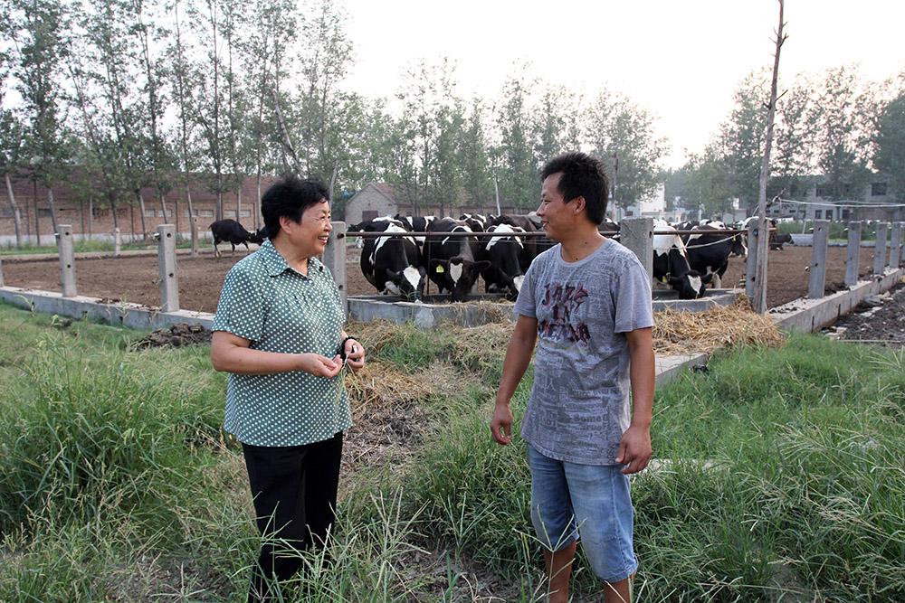 2013814yԃؚFAr