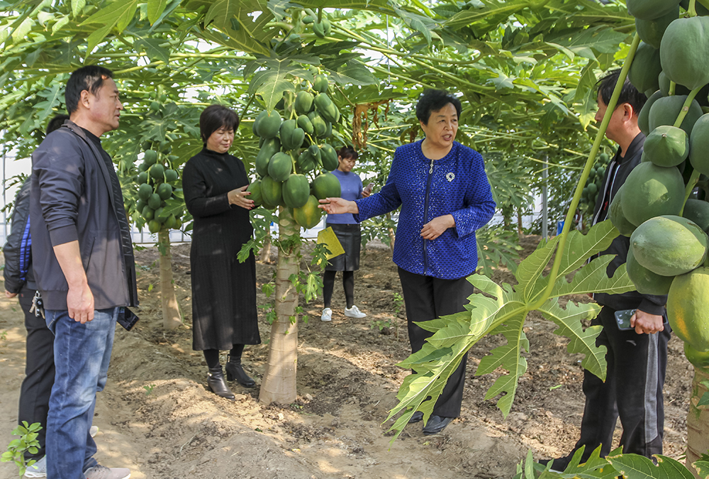 2018111ycӳɆTӑflչ