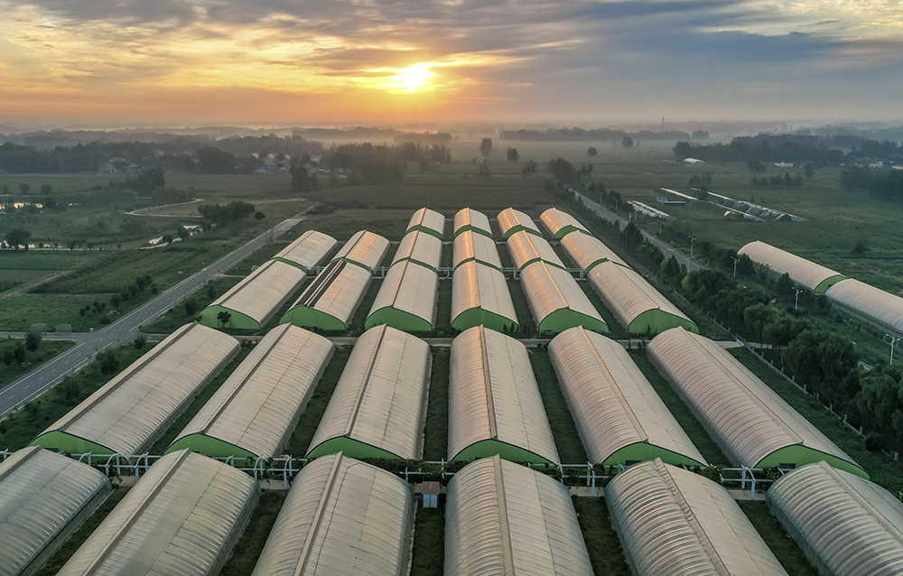 20196yゥIwһrЙCNֲ