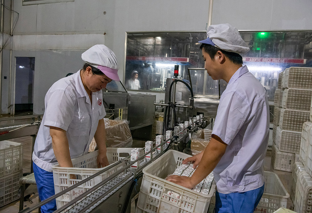 2020620ڰb܇gؚTڹ