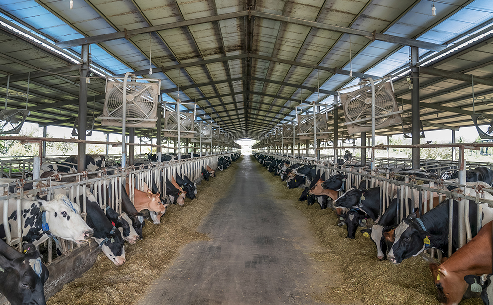 2020629yٰćHĘ˜ʻţ