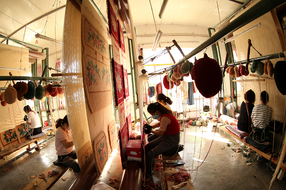 2019814cЭhhˇ̺Q؟ι˾펽ؚ܇gŮ̺