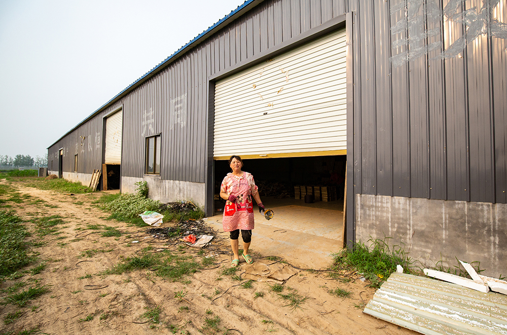 20187؂ɷƽ齨RSM˷ؚ܇g޶SSԇ