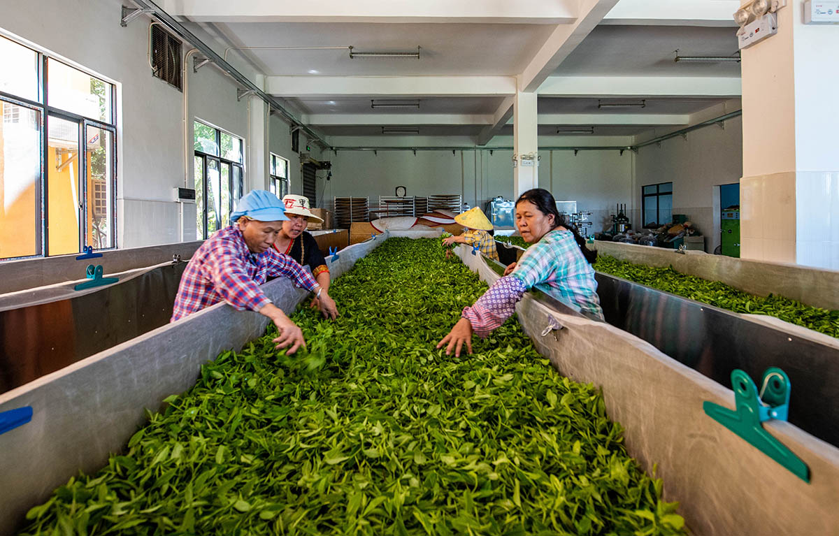 rMήĲժĲ~ήpp