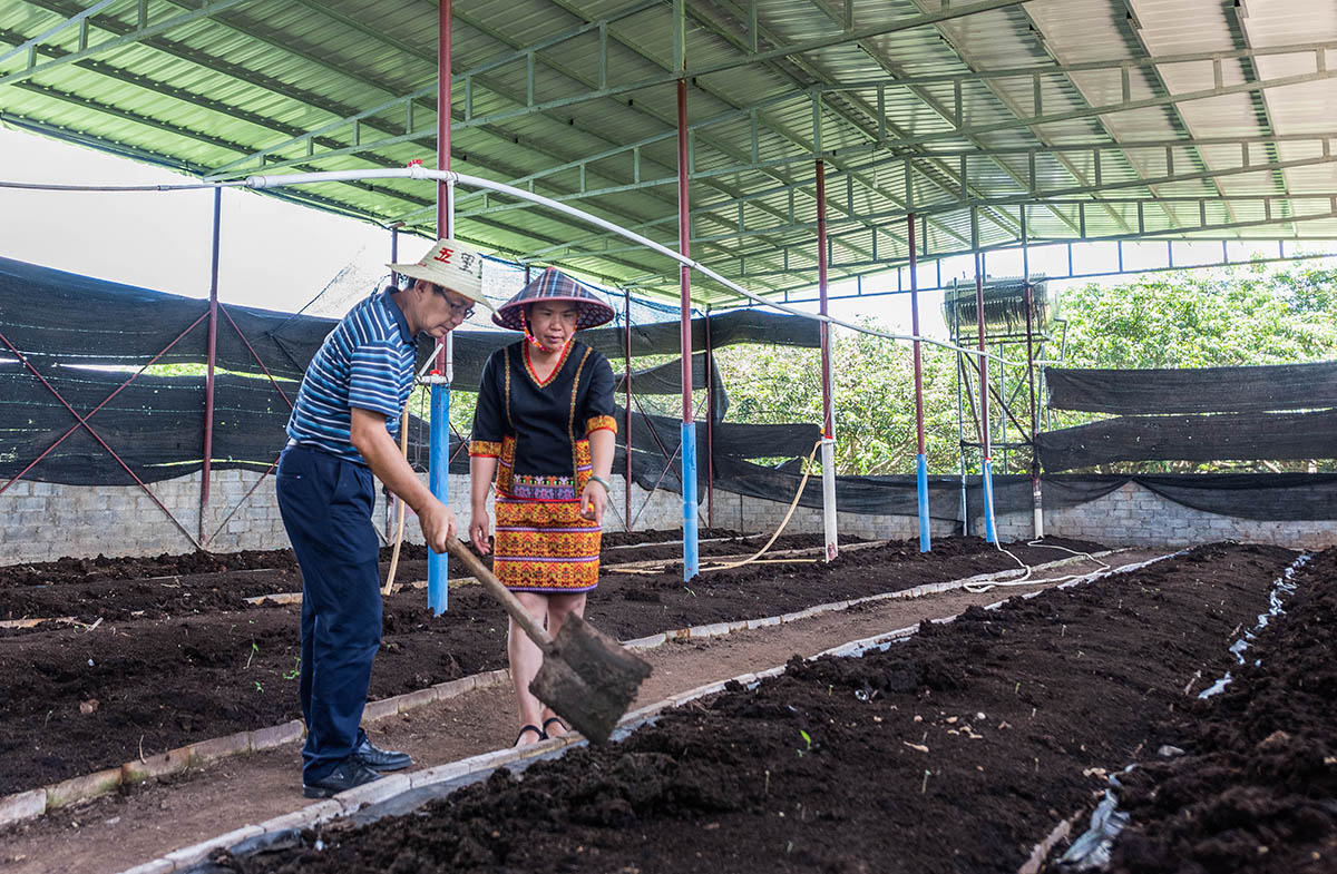 @ȵBֳԓͨ^ُrSlͳЙCιBٰaļS@_ЙC~NֲGɫh