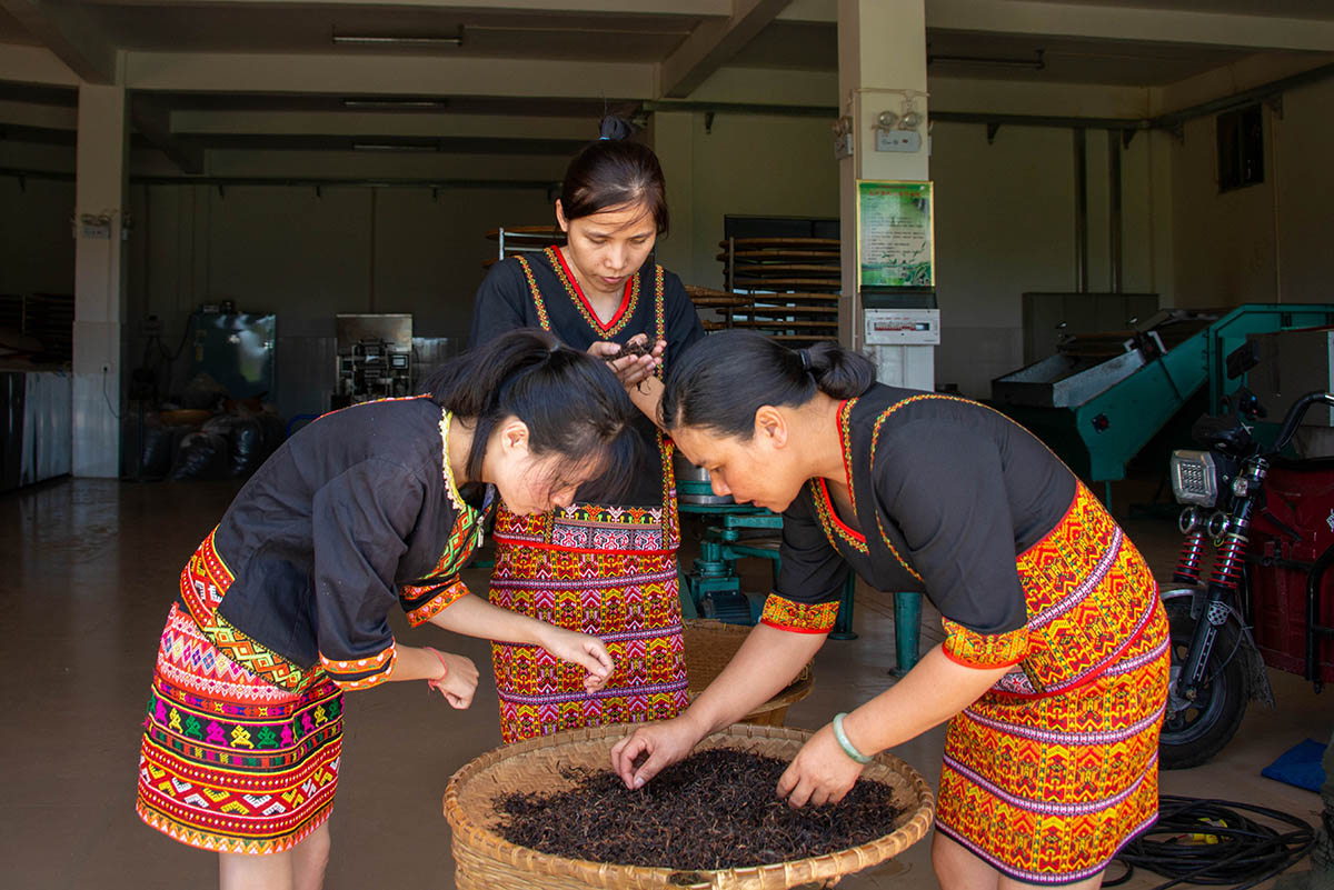 СcÂá^衱衱ȷzӹõĳƷ~