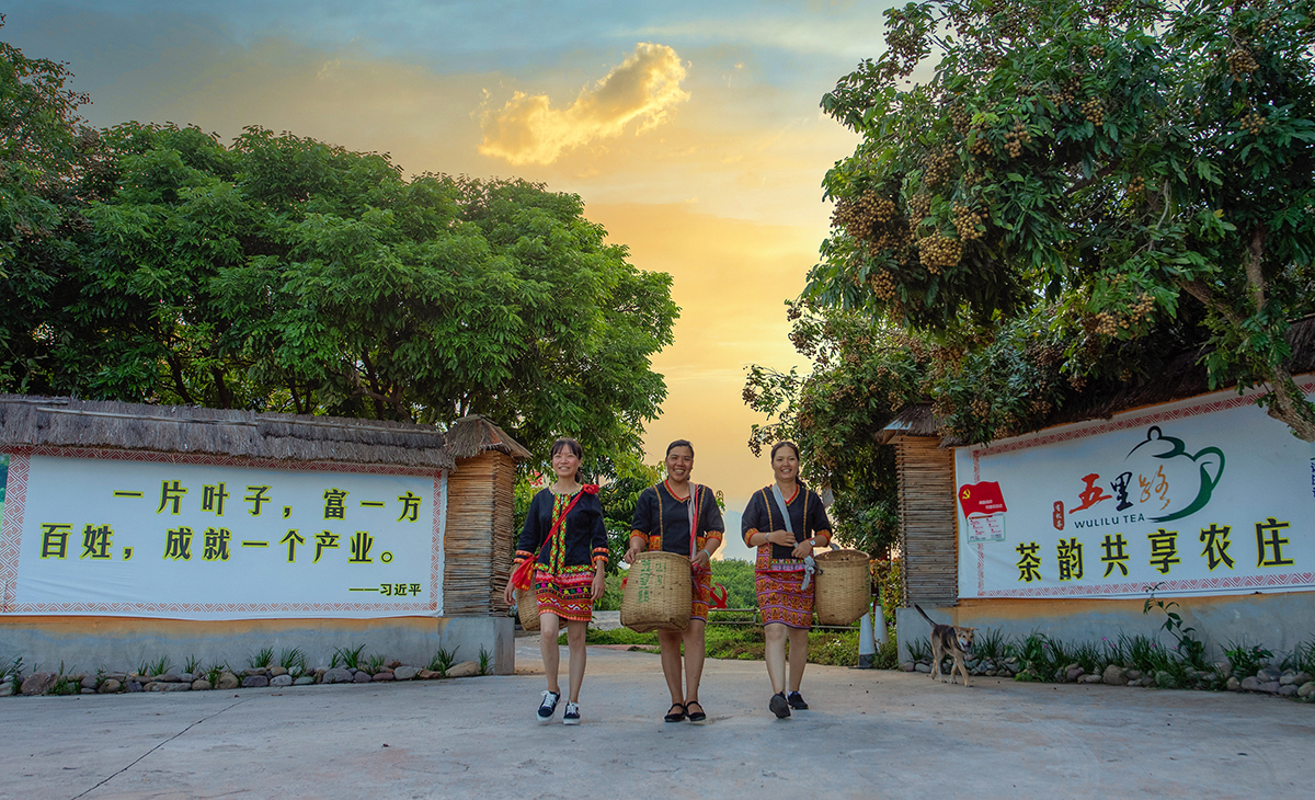 һƬ~һɾһaI