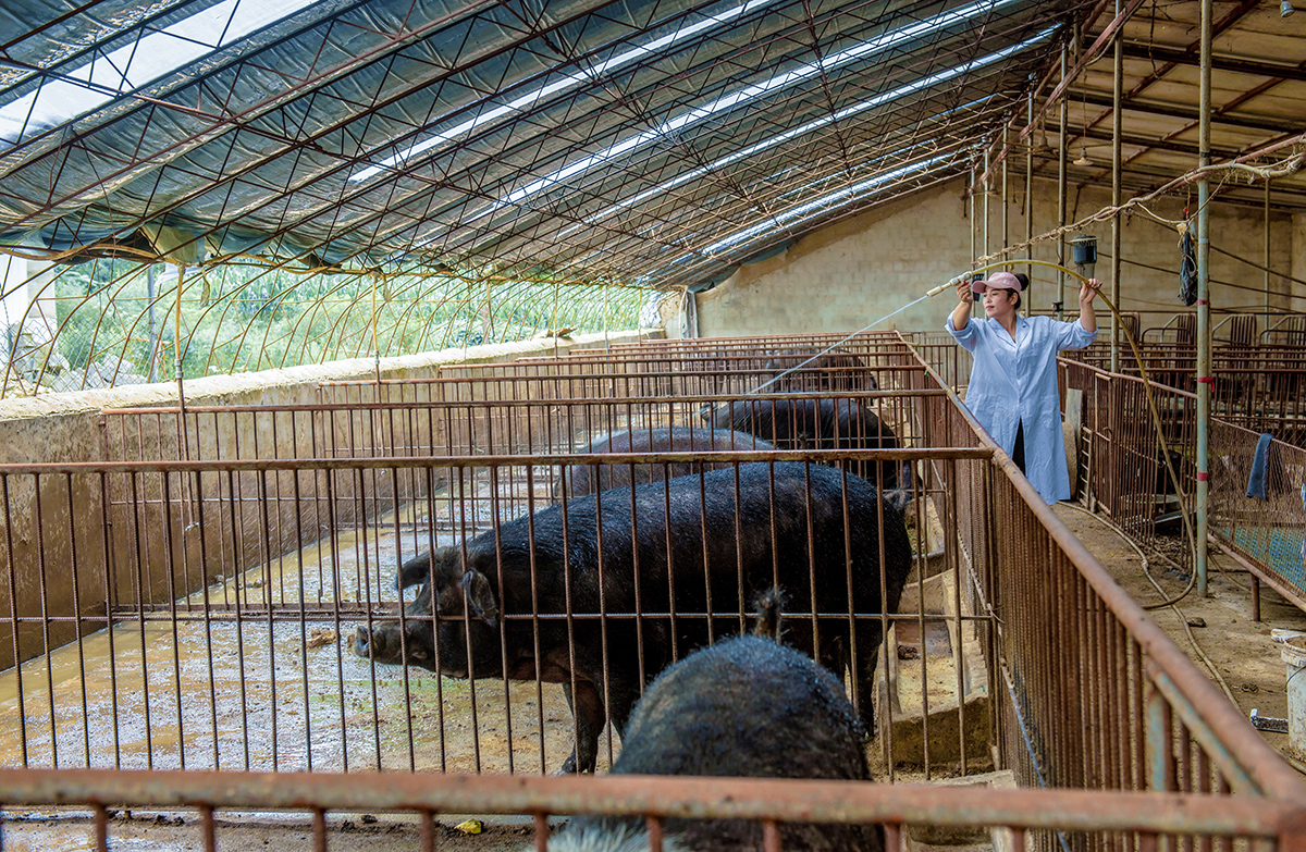 ԊԊώ^ĸiri| z