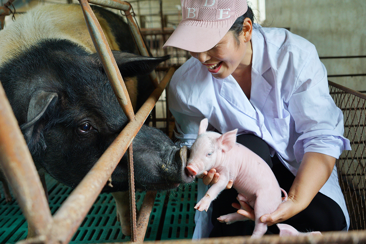 ԊԊԼҷNiiٌiʺӯЧ^ z