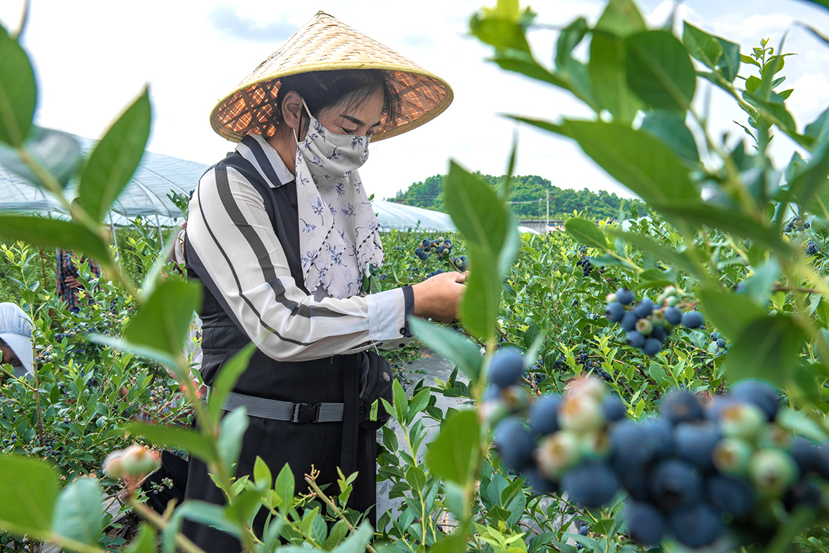 ԊԊ鿴{ݮLr| z