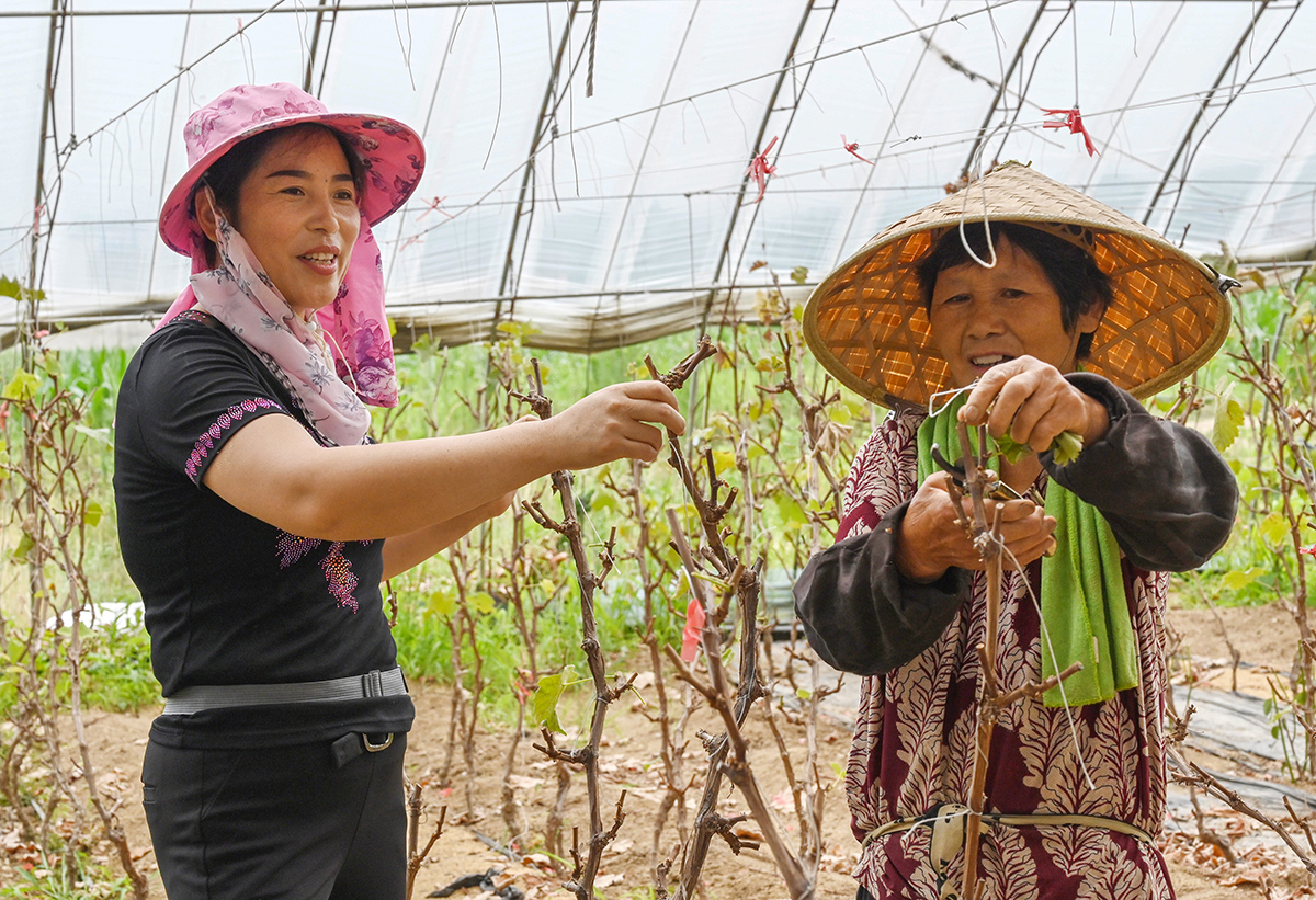 ԊԊĴѽճɲeѽȫܖ|t z