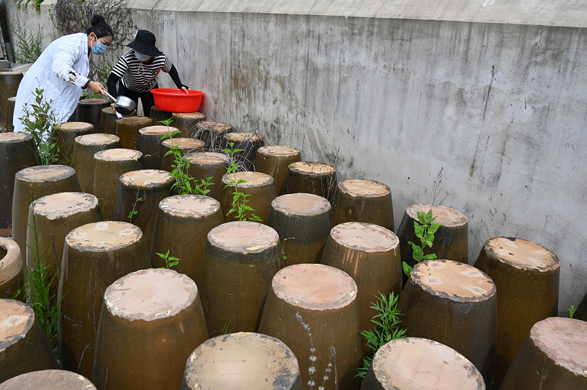 ԊԊ͆TԼᄾƷܖ|t z