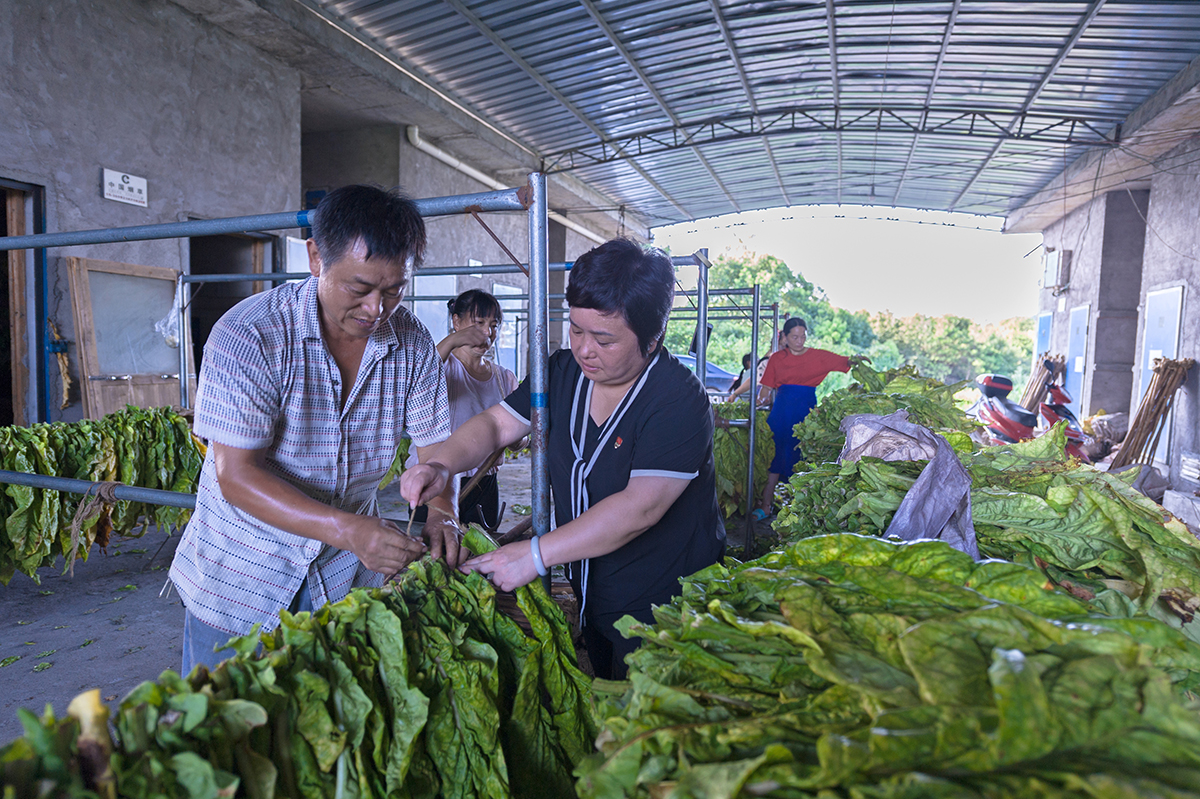 աhT+ؚģʽ־Ƽ~ݷNֲI200вˎaIؚɎͷλؚYhTɲ^ÿּؚt1100Ԫ z