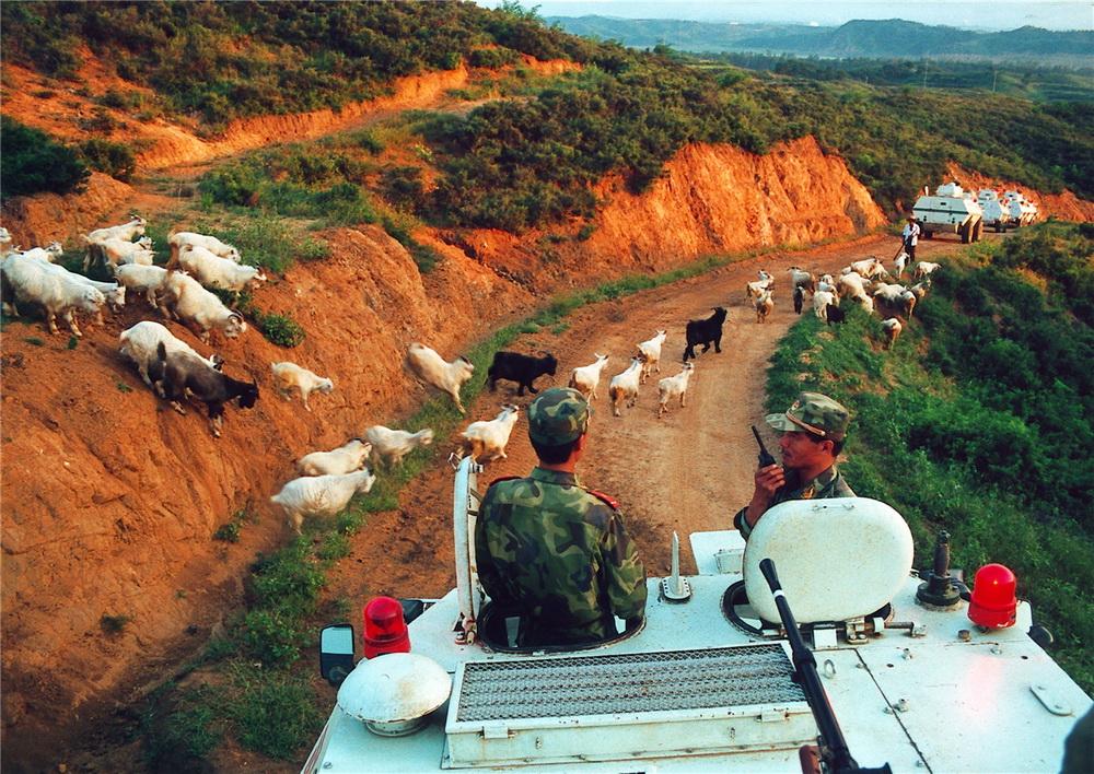 《讓路》劉海山 攝