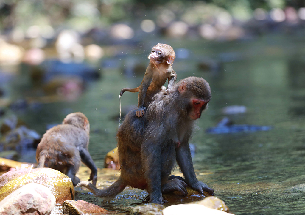 Ϗҽ磺ߜسm JˮҒ10