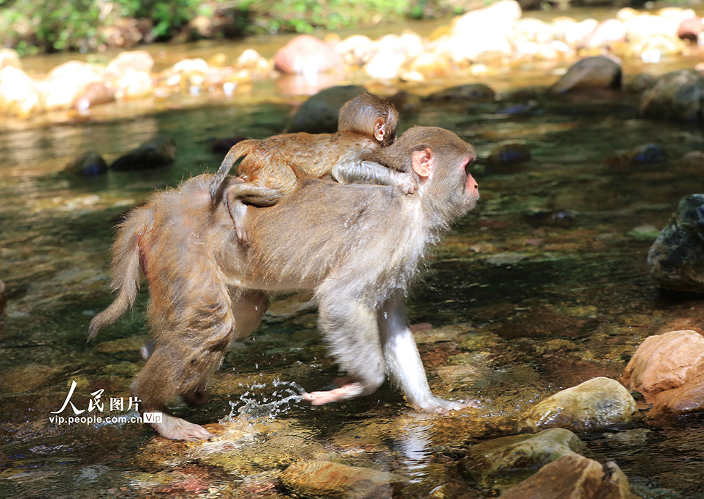 Ϗҽ磺ߜسm JˮҒ11