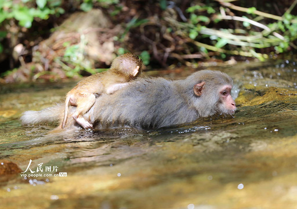 Ϗҽ磺ߜسm JˮҒ12