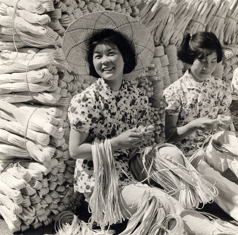 1950ɽ|ҴhñċDŮ