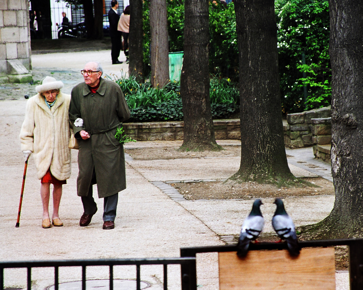 2006xڶЇŮzӰ҅fTƷչ