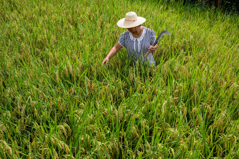 mȻɽش߀TÿNֲˮʯmҲNķNܽQּZʳcφ}