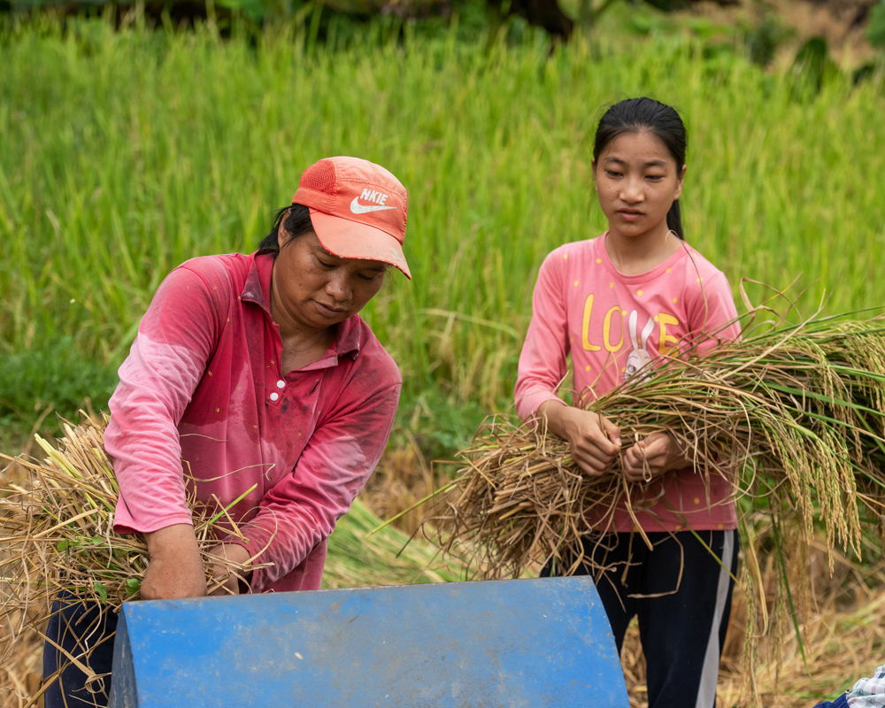 ŮfԼxɿһЮI׌Ìx