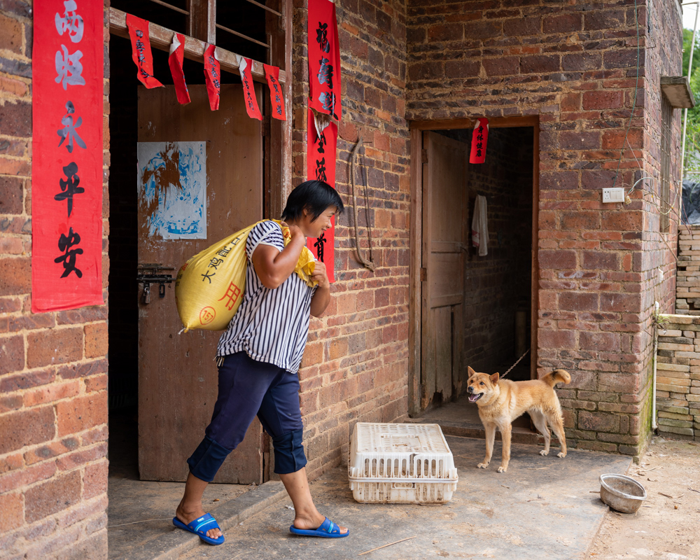 ʯmոRͣ㱳ɽιu@һھʷؚ˴Óؚ¸İ֮һ