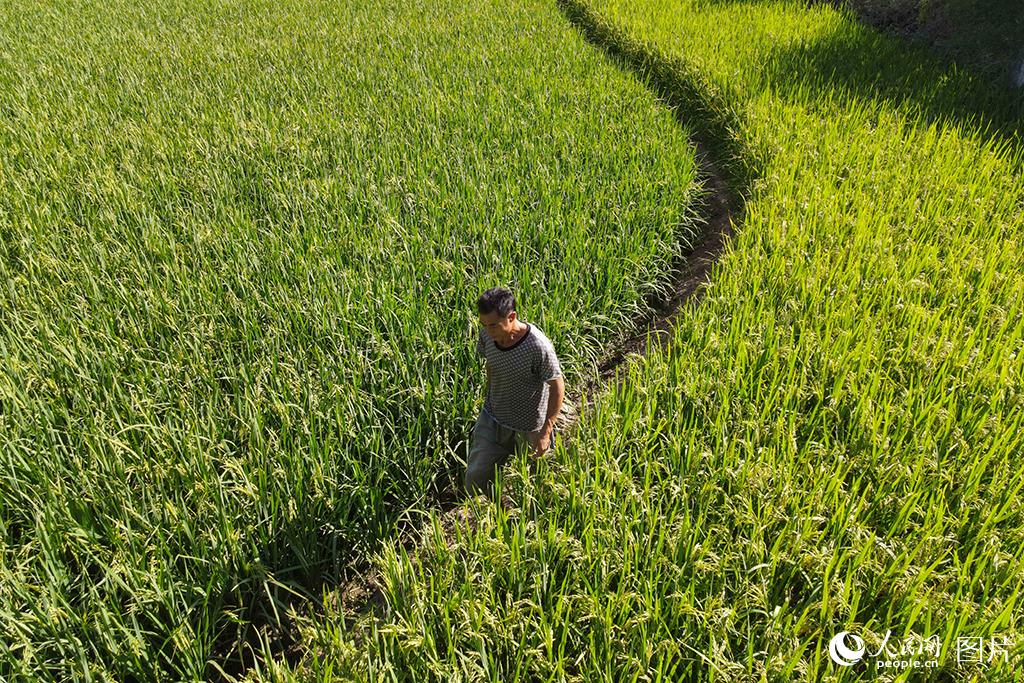 825FʡP^C悽^ĵ쿴L o˙CƬ