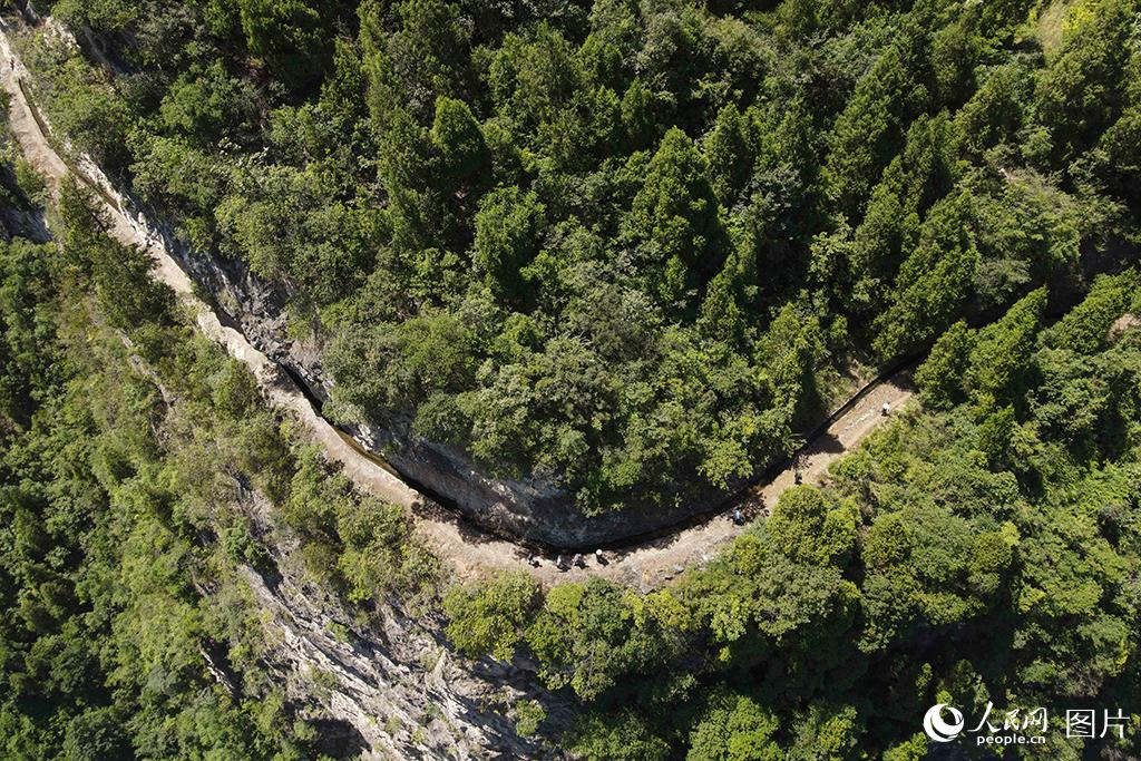 825ꅢc˂FʡP^C悽^悽MѲ o˙CƬ