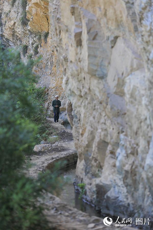 825ꅢcďFʡP^C悽^悽MѲ