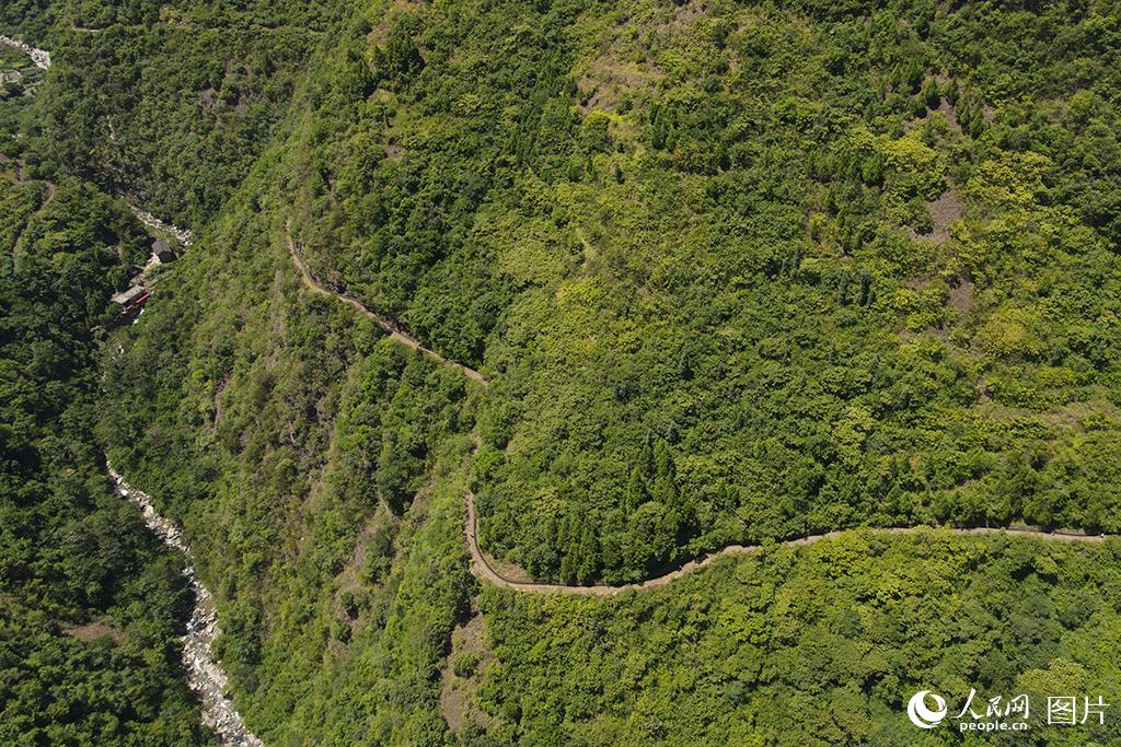 825FʡP^C悽^Ĕz悽o˙CƬ