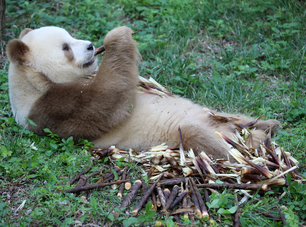 917Сλ؎X؈оĳS