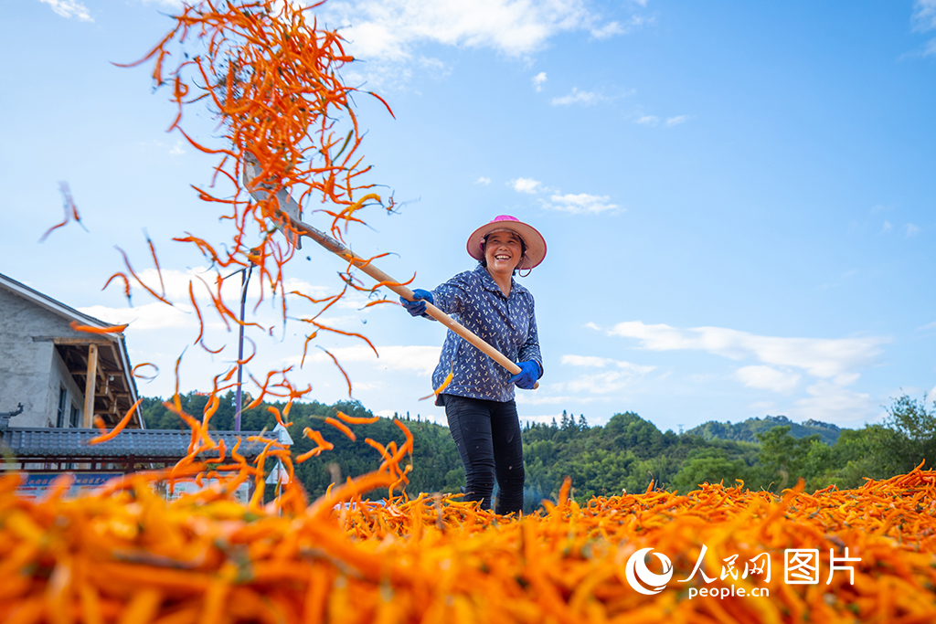 2020815ʡѻͨοhpR҉δڲوϷСS/z