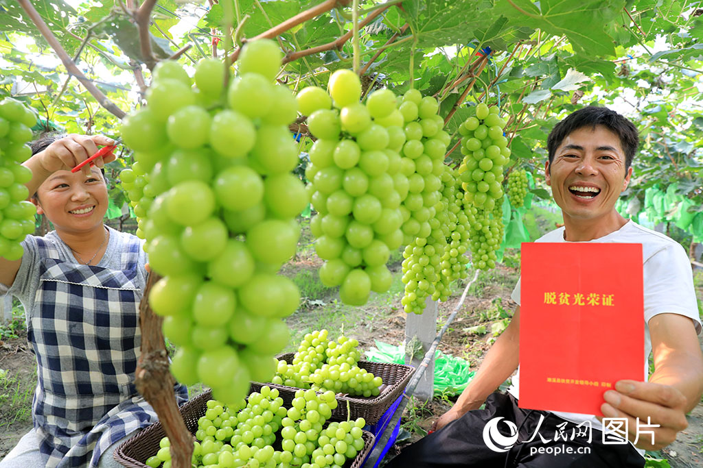 2020829Ϫh悺Ĵţӏш@չʾÓؚsC/z