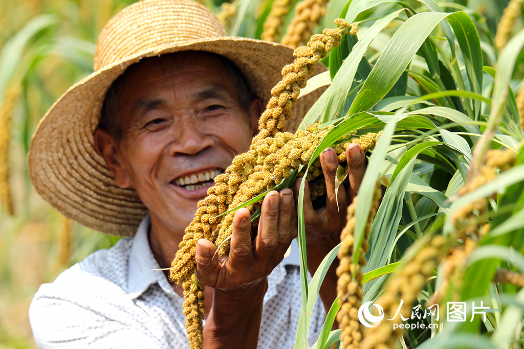 2020912SǿhpRlwfwϲڲ鿴ի@Ĺţ/z